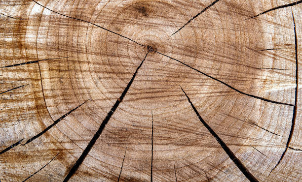 istock Background with wooden cross section cut by saw 1153830948