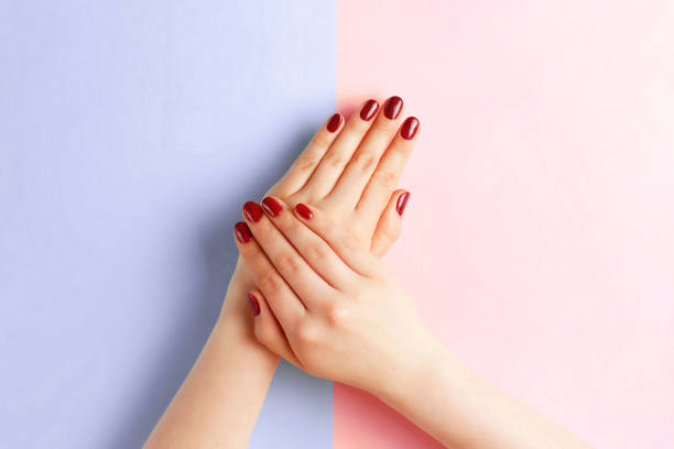 istock Female hands with red manicure on a pink and blue background, top view 1153830981