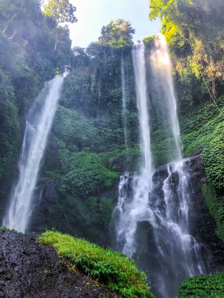 istock Waterfall hidden in the tropical jungle 1153838259