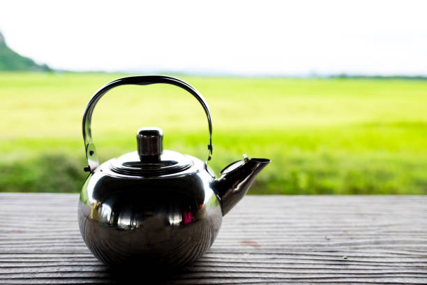 istock Stainless tea kettle on field green background 1153838469