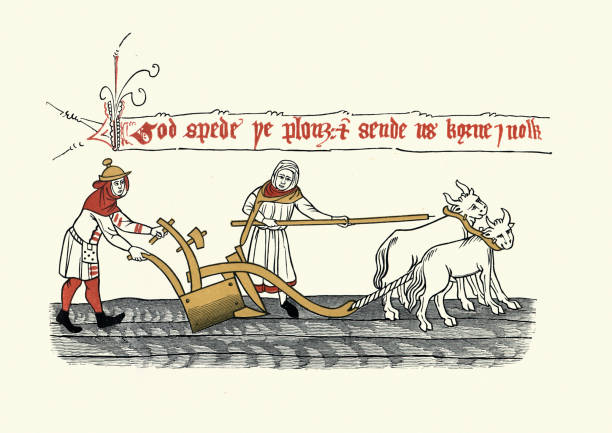 중세 미술, 교각 플 루 먼, 농부 경작 필드, 14 세기 - agriculture farm people plow stock illustrations