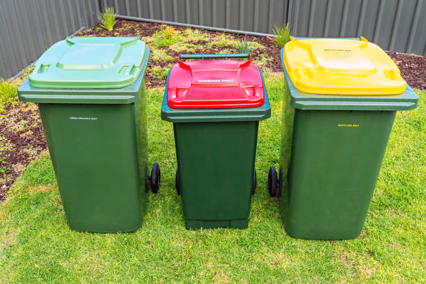 istock Australian home wheelie bins set on backyard 1153856263