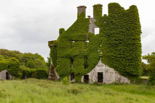 A front on view of the spectacular and magical ivy clad castle that has been left abandoned and left to the forces of nature A front on view of the spectacular and magical ivy clad castle that has been left abandoned and left to the forces of nature, nobody in the image county galway stock pictures, royalty-free photos & images