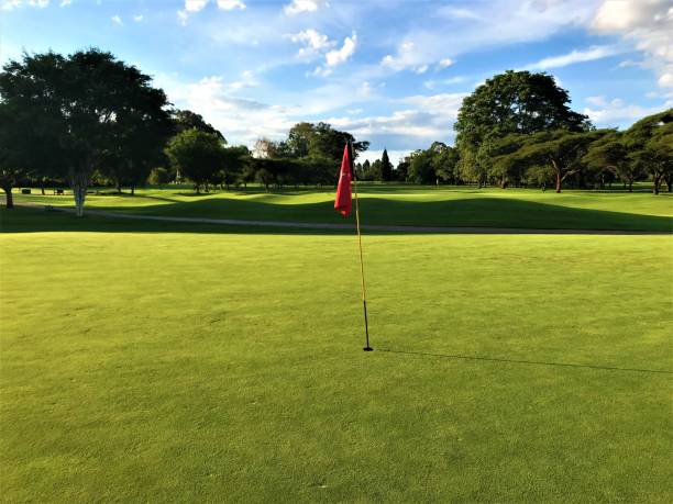 istock Golf course putting green hole with flag beautiful day 1153857857