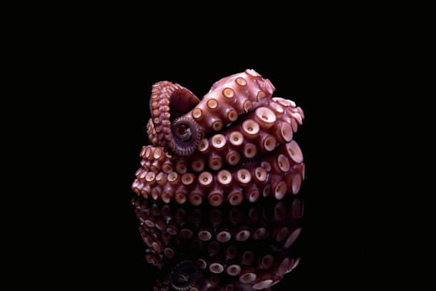 comida de pulpo tentáculo - octopus tentacle tentacle sucker animal fotografías e imágenes de stock