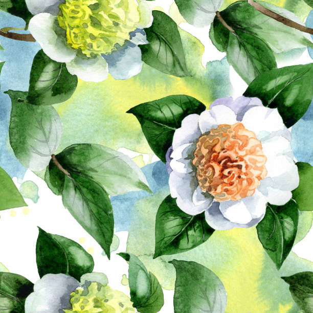 istock White camelia floral botanical flowers. Watercolor background illustration set. Seamless background pattern. 1153864324