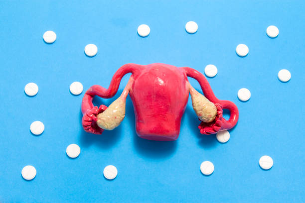 卵巣を持つ子宮の3d 解剖模型は、飾りポルカドットとして白い丸薬に囲まれた青色の背景にあります。子宮疾患の薬理学的錠剤治療による医学的概念, 化学療法 - hormone therapy hrt pill medicine ストックフォトと画像