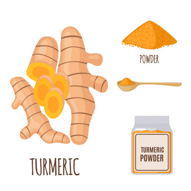 Turmeric set in flat style isolated on white. Turmeric set with powder in flat style isolated on white background. Organic healthy food. Medicinal herbs collection. Vector illustration. ginger ground spice root stock illustrations