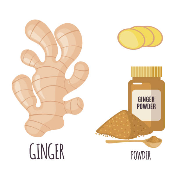 Ginger set in flat style isolated on white. Ginger set with powder in flat style isolated on white background. Organic healthy food. Medicinal herbs collection. Vector illustration. ginger ground spice root stock illustrations