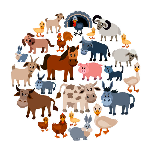 ilustrações, clipart, desenhos animados e ícones de colagem dos animais de exploração agrícola - rabbit livestock pets cartoon