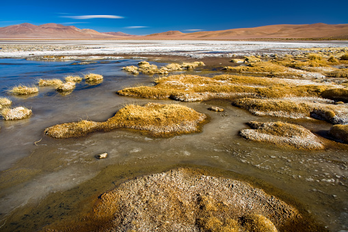 Frozen water at the shore of  Salar del Quisquiro in the Altiplano at an altitude of 4150m, Atacama desert, Antofagasta Region, Chile, South America