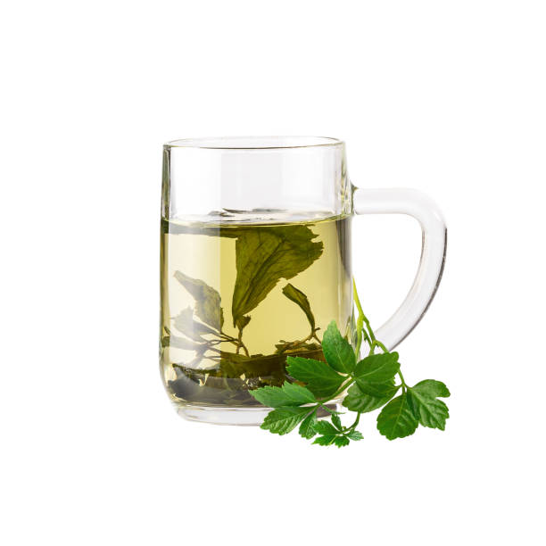 istock Chinese herb tea Jiaogulan Miracle grass. Image included clipping path 1153867251