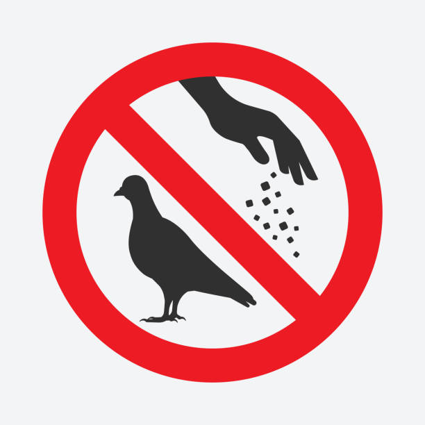 Sign do not feed birds Sign do not feed birds. Silhouette of pigeon and hand of man with food. Vector illustration animals feeding stock illustrations