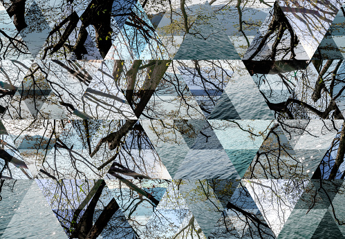 Abstract triangle mosaic background: Lake Orta tree