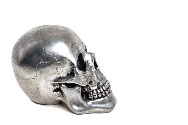 istock silver fashion skull on white background 1153869559