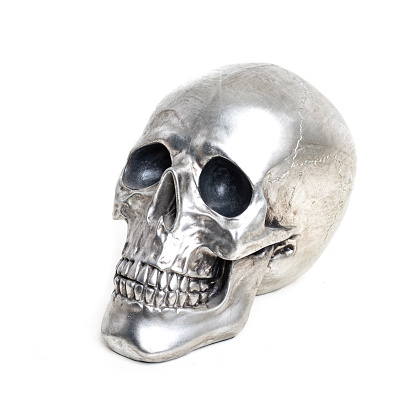 silver fashion skull on white background