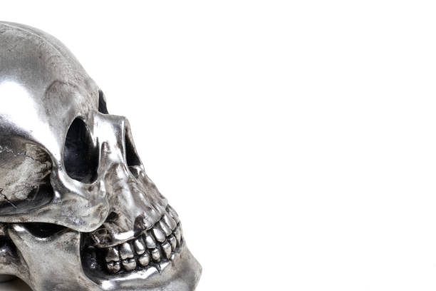 istock silver fashion skull on white background 1153869588