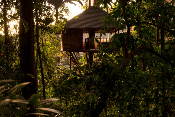 Laos, december 2013: Wooden tree house in the jungle at sunset