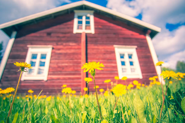 старый финский дом в летнем ландшафте. кухмо, финляндия. - кухмо стоковые фото и изображения