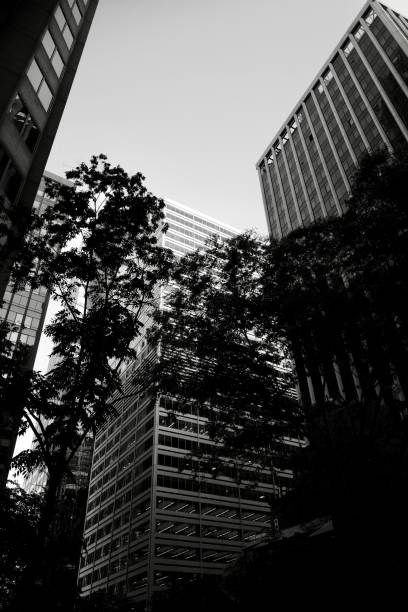 istock New York City 1153873909
