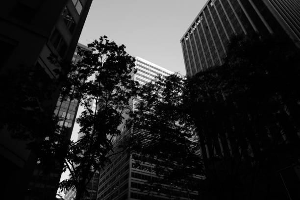 istock New York City 1153873928