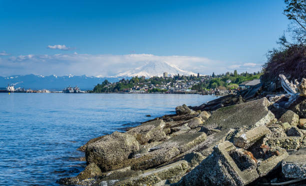 美しい北西の風景2 - northwest puget sound mt rainier nature ストックフォトと画像