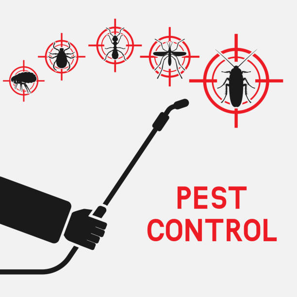 ilustrações, clipart, desenhos animados e ícones de exterminador com pulverizador contra baratas, mosquitos, formigas, carrapatos e pulgas - service pest insect fly