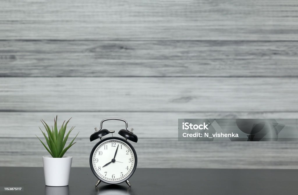Clock with alarm clock and home plant in a pot on the table. The mode of the day, schedule, free and work time. Alarm Stock Photo