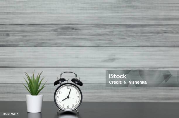 Clock With Alarm Clock And Home Plant In A Pot On The Table The Mode Of The Day Schedule Free And Work Time Stock Photo - Download Image Now