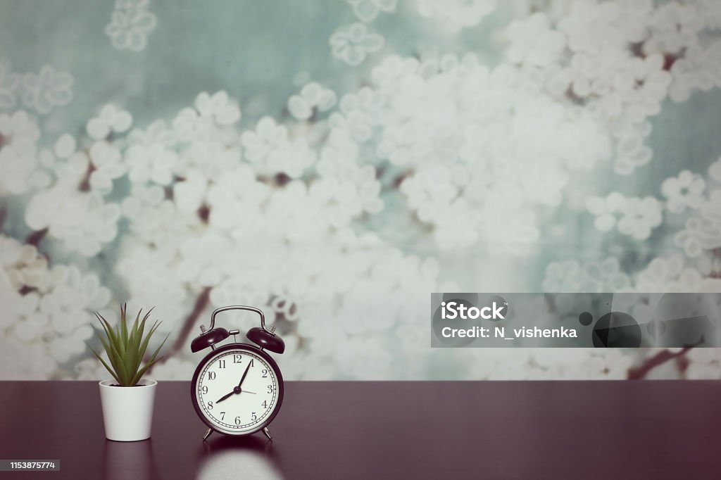 Clock with alarm clock and home plant in a pot on the table. The mode of the day, schedule, free and work time. Alarm Stock Photo
