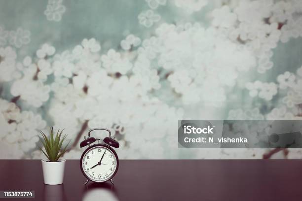 Clock With Alarm Clock And Home Plant In A Pot On The Table The Mode Of The Day Schedule Free And Work Time Stock Photo - Download Image Now