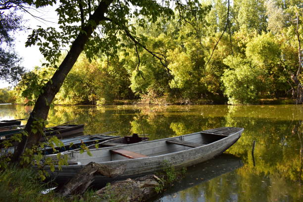 Boat on the backwater in the sunshine