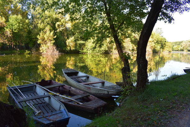istock Boat on the backwater in the sunshine 1153881912