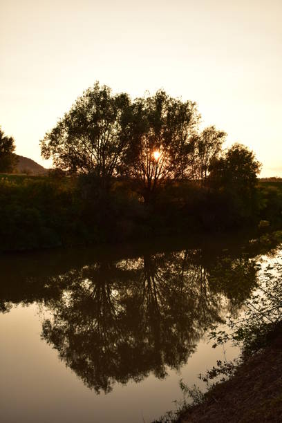 istock Reflection on river Sio  in the sunset 1153881918