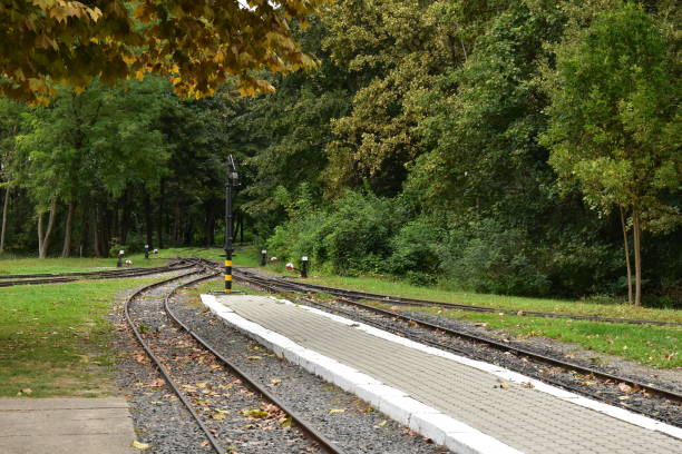 istock Train tracks in autumn in the forest 1153881921