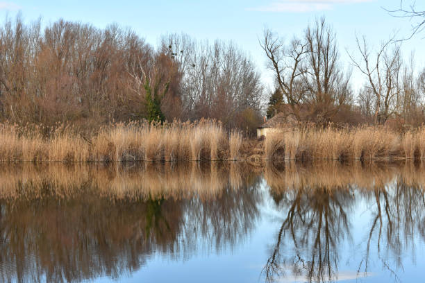 Lake in Bogyiszlo, Hungary