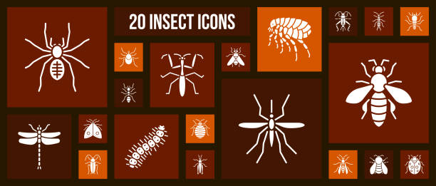 Danger Insect white silhouette icons vector set Danger Insect silhouette icons set. Isolated web sign kit of bed bug. Pictogram collection includes beetle, ant, bee, cockroach. Simple white contour symbol. Danger Insect vector Icon shape pest control logos silhouette stock illustrations