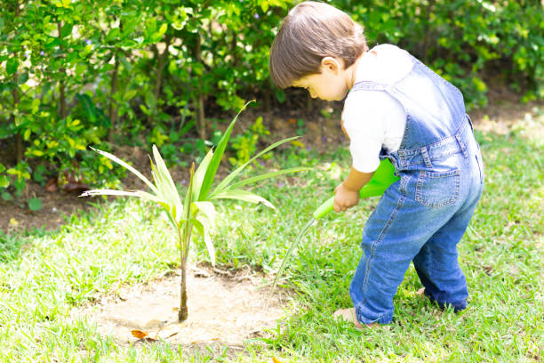 istock Happy Boy Watering Plants 1153884077