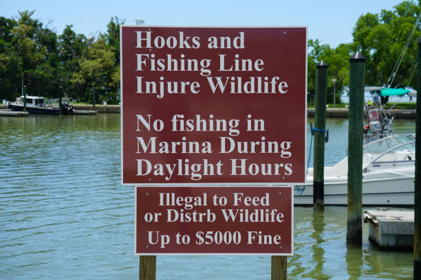 istock Everglades National Park 1153885401