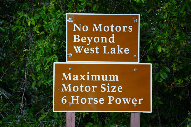 istock Everglades National Park 1153885466