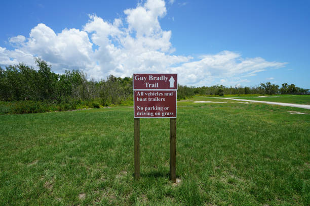 istock Everglades National Park 1153885518