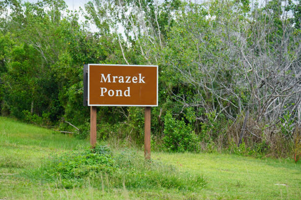 istock Everglades National Park 1153885542