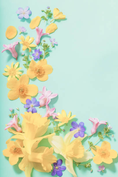 istock spring flowers on green background 1153885581