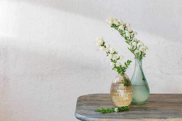 istock Spirea branches in vases on  vintage background of old wall 1153885605