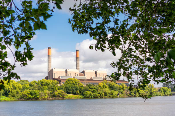 Coal fired power station seen through tree leaves Leaves in the foreground around a coal-fired power station located on the banks of the Waikato River near Huntly in New Zealand. waikato river stock pictures, royalty-free photos & images