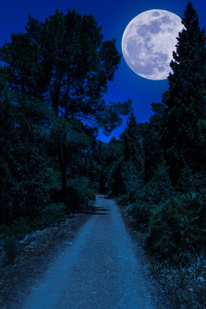 istock dirt road in the woods with super moon 1153889524