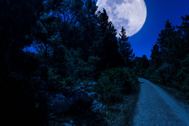 istock dirt road in the woods with super moon 1153889635