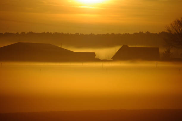 istock Misty sunrise in the country 1153893916