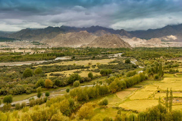 istock Leh City, Ladakh, India 1153896906