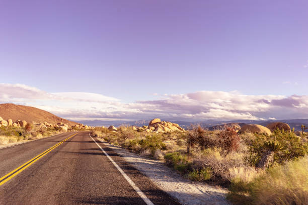 istock Desert road landscape with sunset clouds and yuccas on roadside. 1153903153